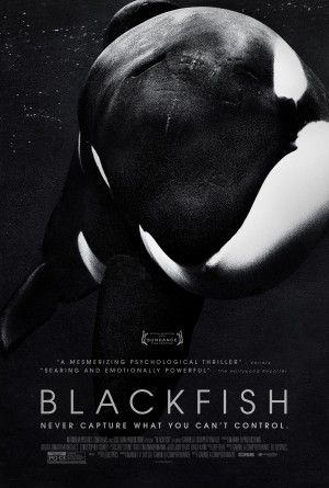 Cá đen Blackfish