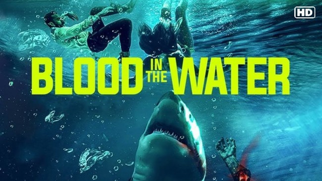 Cá Mập Dưới Nước Blood in the Water