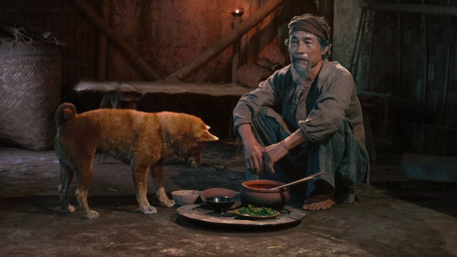 Cậu Vàng The Old Man's Dog