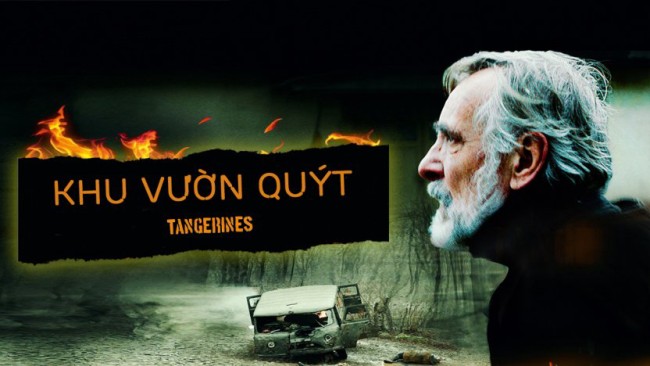 Khu Vườn Quýt - Tangerines