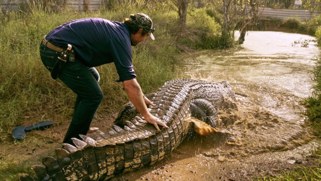 Lãnh địa cá sấu hoang Wild Croc Territory
