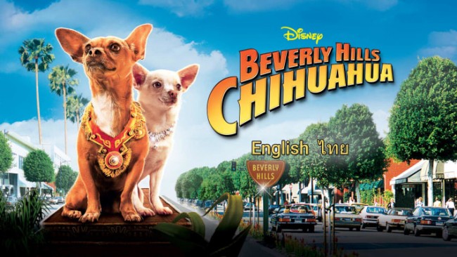 Những Chú Chó Chihuahua Beverly Hills Chihuahua