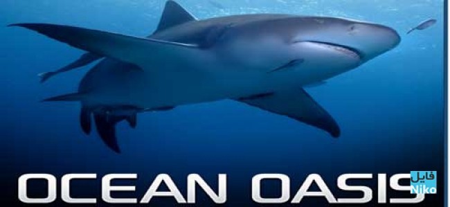 Ốc Đảo Của Đại Dương Ocean Oasis