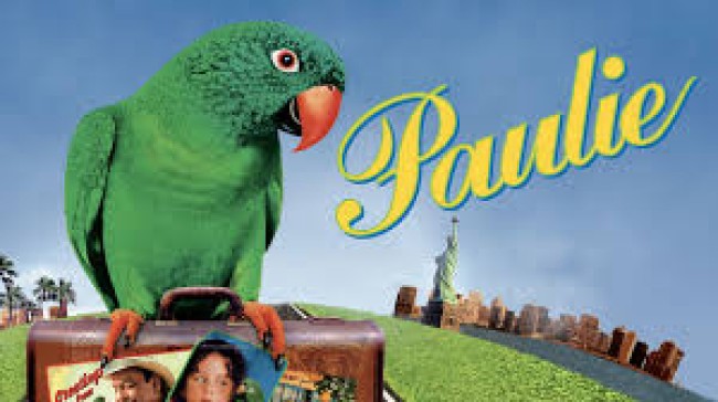 Paulie Paulie