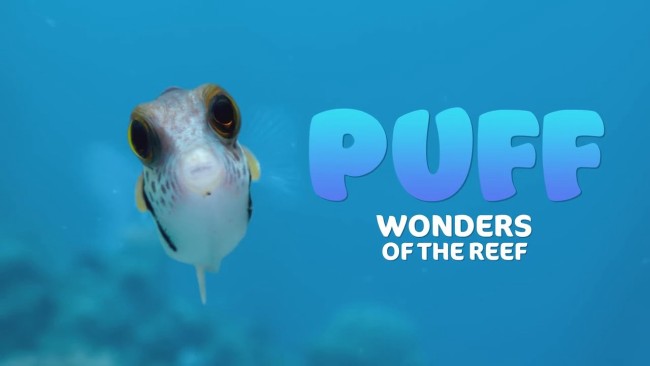 Puff: Rạn san hô kỳ diệu Puff: Wonders of the Reef