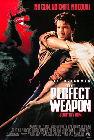 Vũ Khí Hoàn Hảo The Perfect Weapon