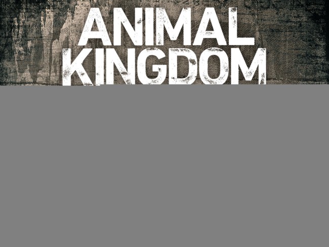 Vương quốc động vật (Phần 1) - Animal Kingdom (Season 1)