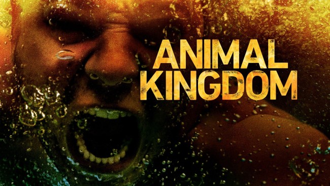 Vương quốc động vật (Phần 3) Animal Kingdom (Season 3)